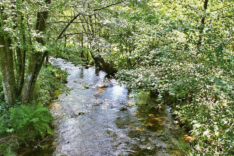 Étangs et rivières – Vagney et alentours