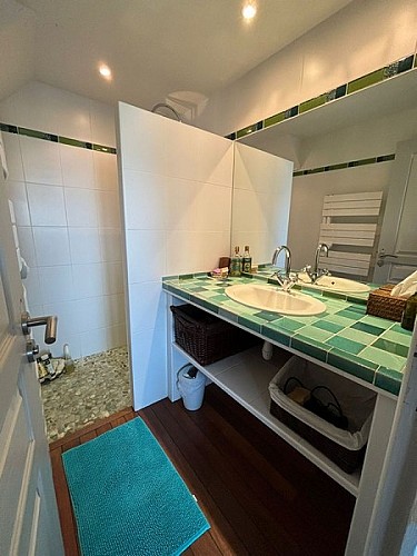 gite regneville sur mer malot valerie les palmiers (7)