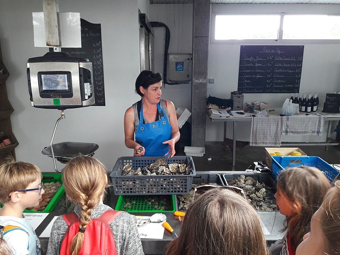 Les Viviers de La Forêt