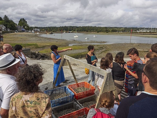 Les Viviers de La Forêt