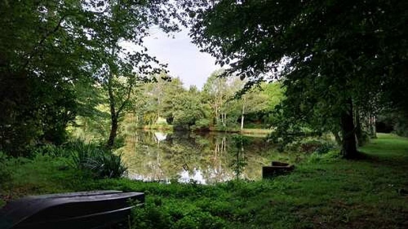 Image du poi