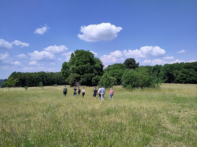 Villa Castrum-Ferme de Caster_Lanaye_Montagne St Pierre_2024- (11)