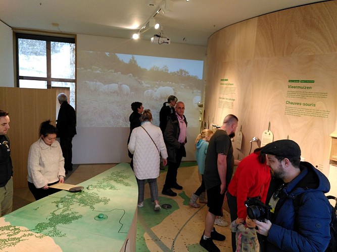 Villa Castrum-Ferme de Caster_Lanaye_Montagne St Pierre_2024 (6)