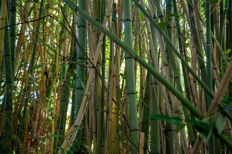 Parc-Montaury-Anglet-05