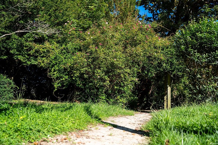 Parc-Montaury-Anglet-02