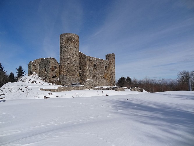 The Château des Cornes d’Urfé