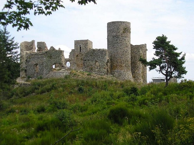 Aire de pique-nique du château