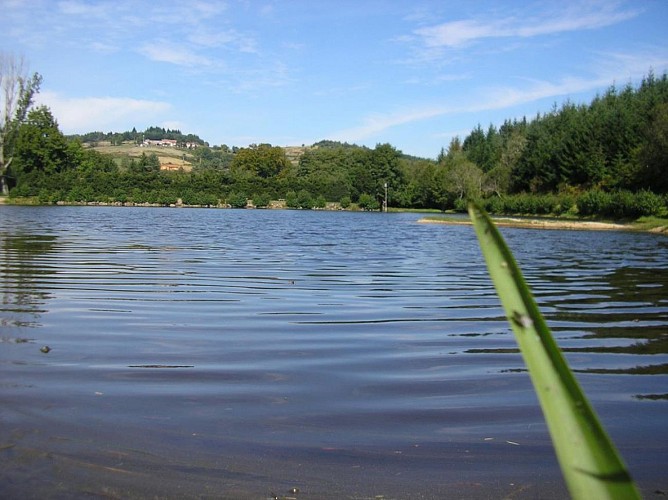 Aire de pique-nique du plan d'eau de Chausseterre