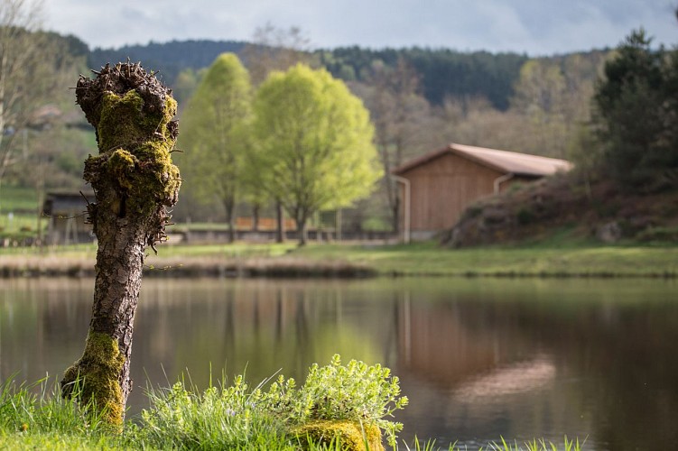 Village de Chausseterre