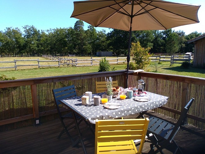 IMG_20210831_114310_resized_20210831_014419130