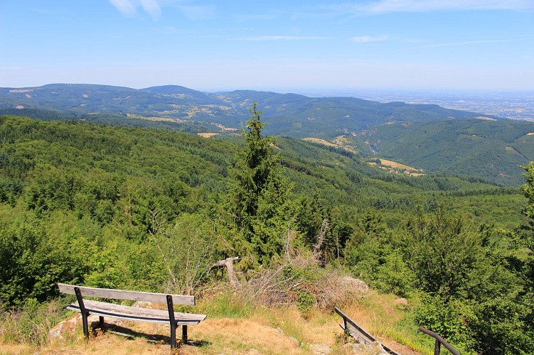 Arboretum et forêt des Grands Murcins