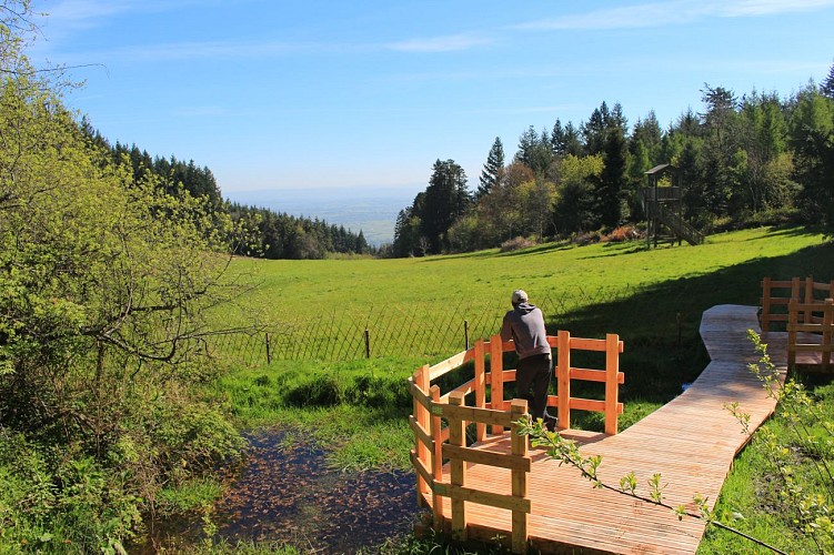 Arboretum et forêt des Grands Murcins