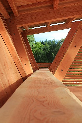 Arboretum et forêt des Grands Murcins