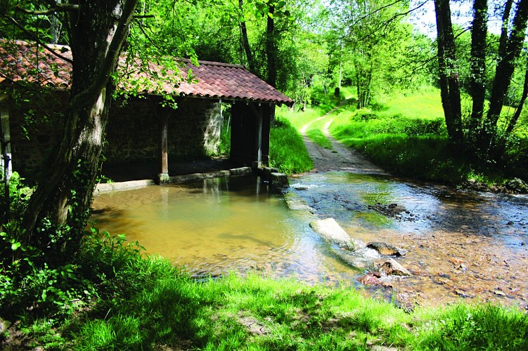 Le lavoir