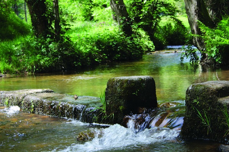 Le lavoir