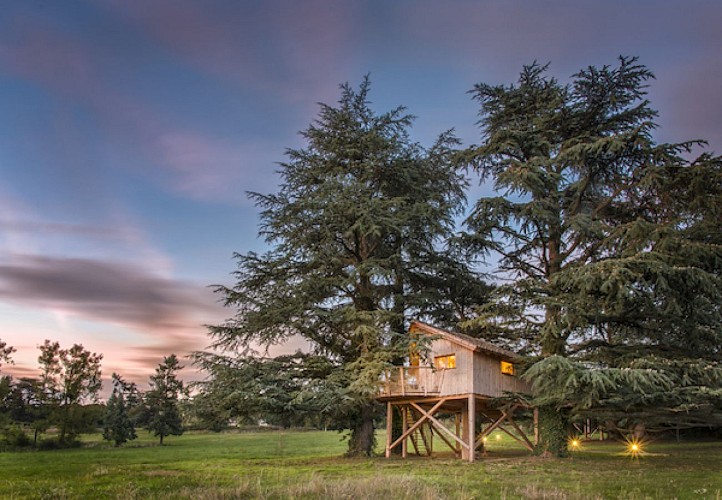 Les Cabanes de Marie - Domaine des Grands Cèdres