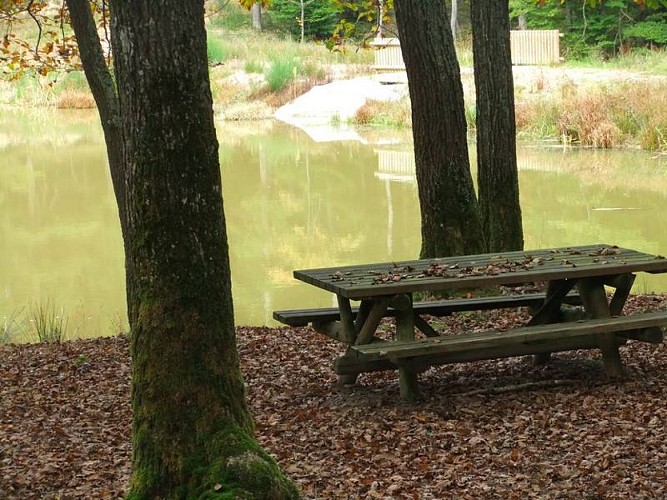 Aires de pique-nique de la Forêt de Lespinasse