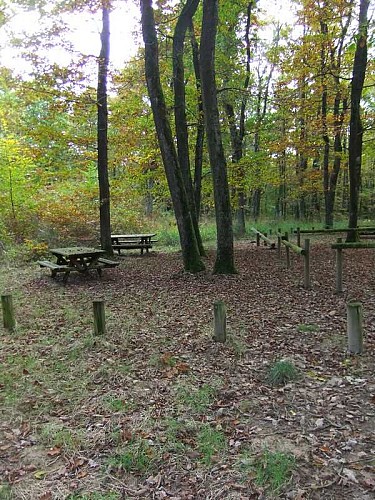 Aires de pique-nique de la Forêt de Lespinasse