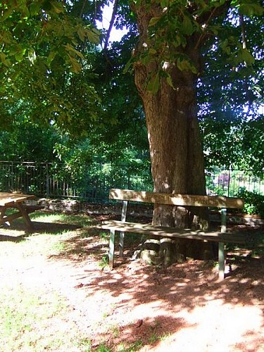 Aire de pique-nique des Remparts