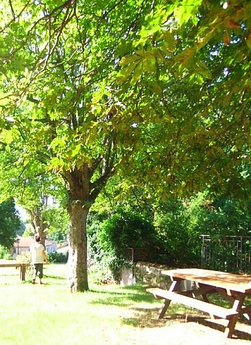 Aire de pique-nique des Remparts