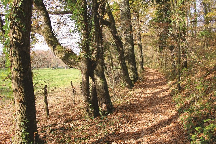 Village de Saint-Vincent-de-Boisset