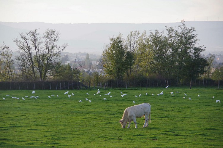 Village de Saint-Vincent-de-Boisset