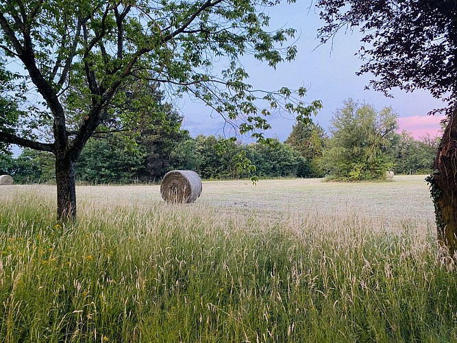 Village de Saint-Vincent-de-Boisset