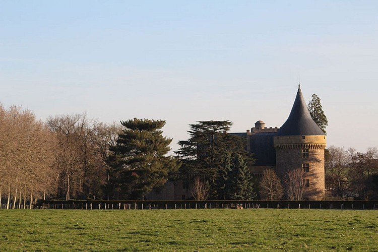 Château de St Martin de Boisy