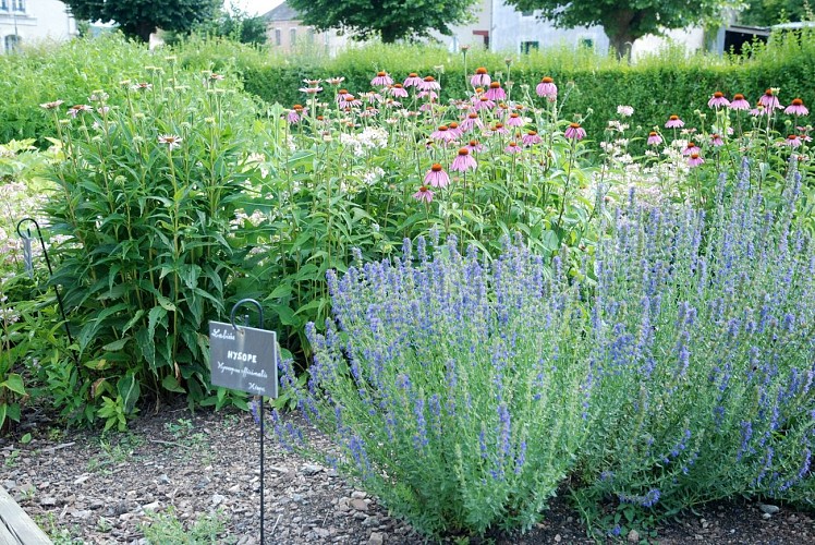 Jardin des plantes médicinales
