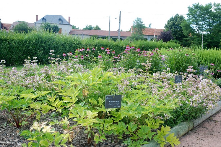 Jardin des plantes médicinales