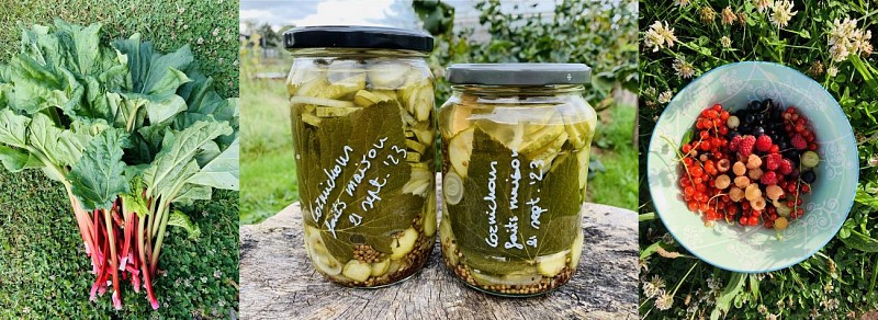 7_Ontbijt_Panorama_Producten uit de tuin_Produits du jardin_©BonjourMarcourt (Copier)