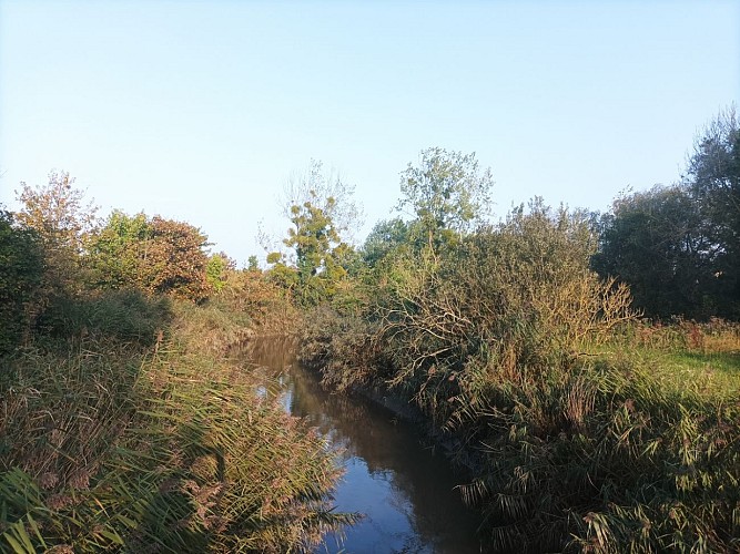 parc-chant-des-oiseaux-courseulles (2)