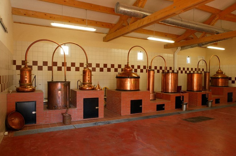 distillerie sirtaqui (1)