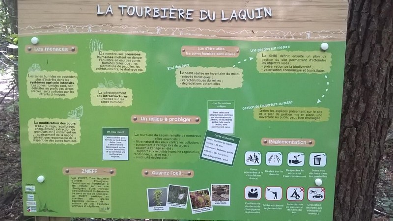 Tourbière du Lanquais Beleymas (4)