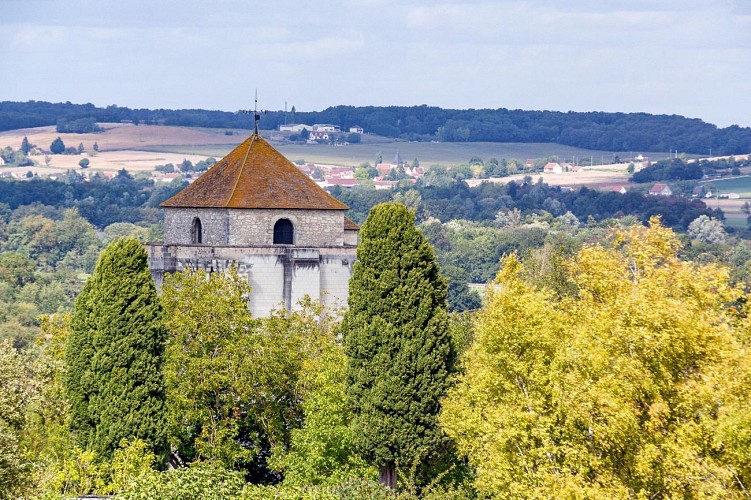 Le Donjon de La Roche-Posay