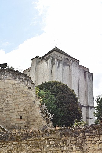 Le Donjon de La Roche-Posay