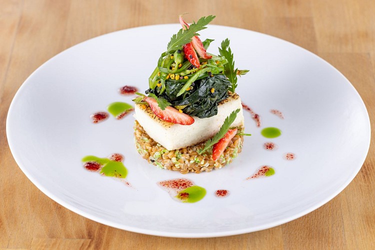 Photo turbot
