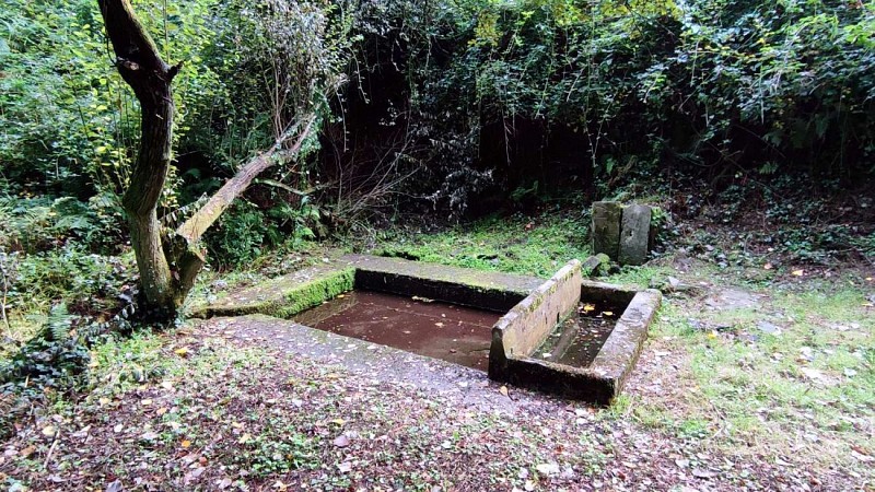 Lavoir Poul Guioch - Les bassins et la source