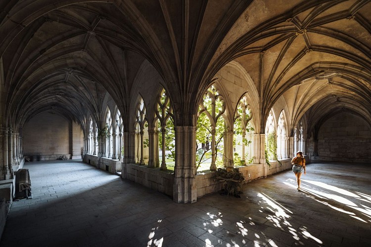 Collegiale kerk Saint-Gengoult in Toul