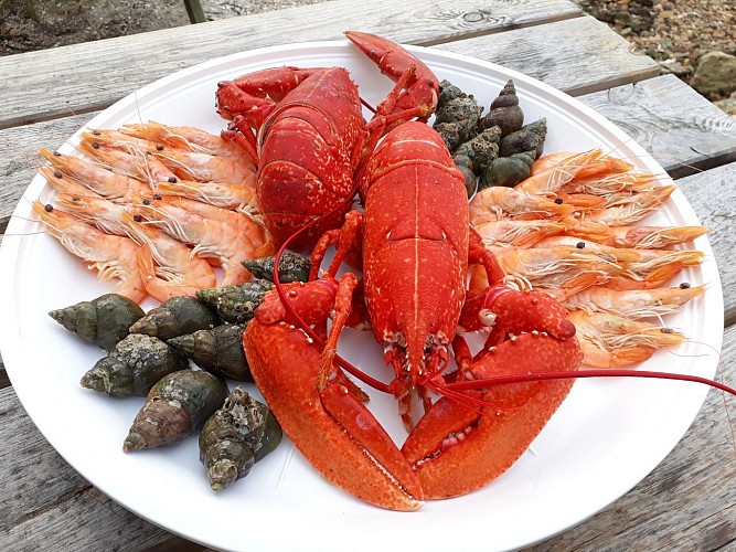 Plateau de fruits de mer