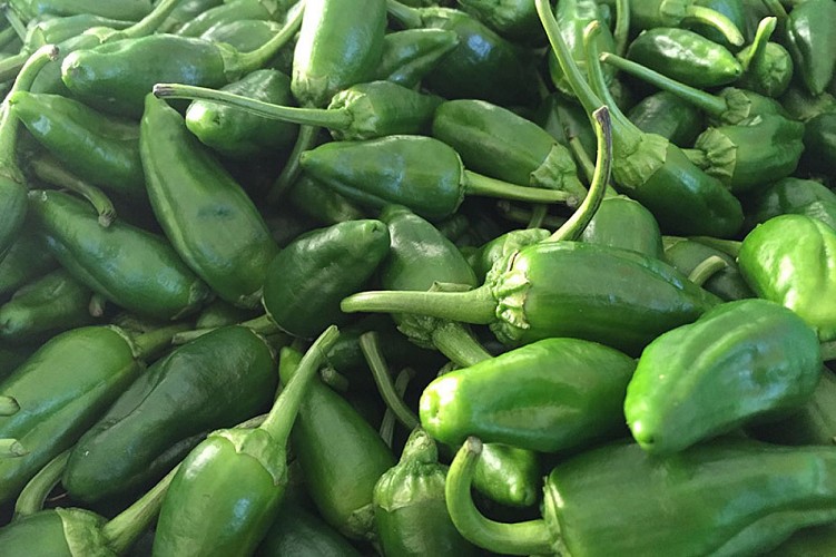 Origen e historia del Pimiento de Herbón 