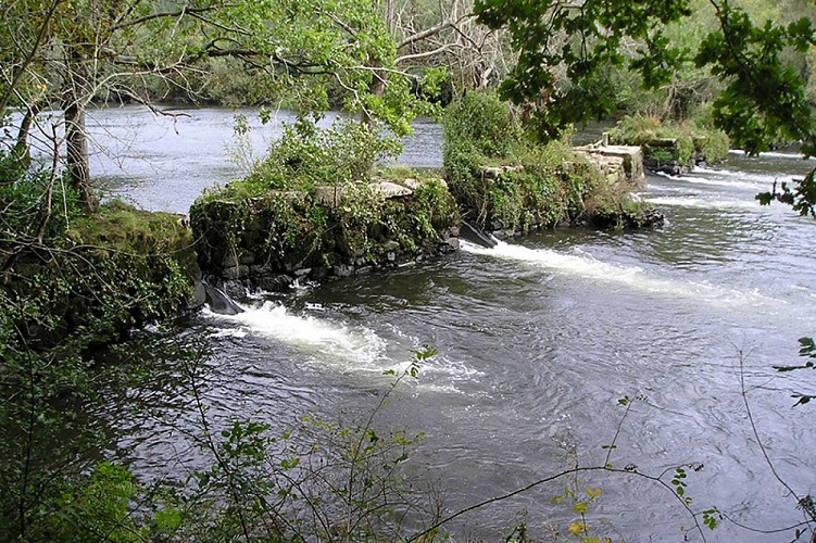 Pesqueiras romanas de Herbón 