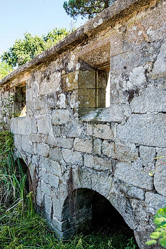 El maíz, rey de los molinos