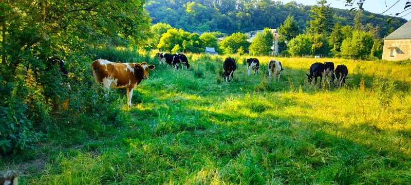 Aire de stationnement camping car_Vouvray sur Loir