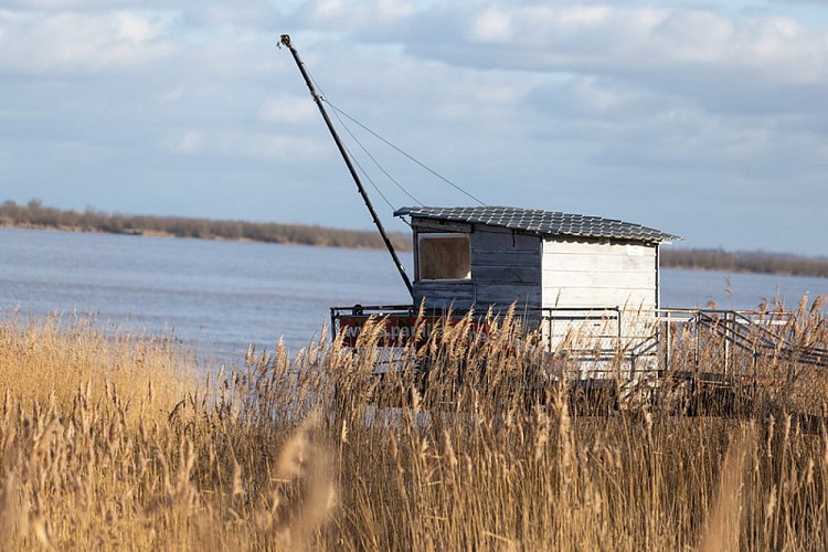 Carrelet à Pauillac