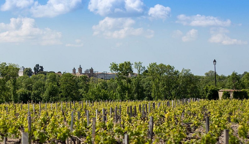 Pauillac