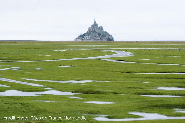 Gîtes de France G1183 : Le Petit Gîte du Mont