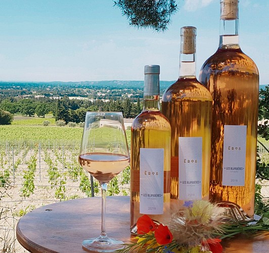 Domaine des Blaquières