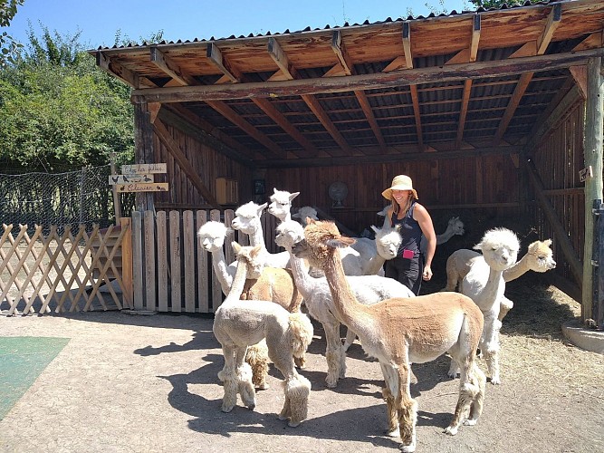 Ferme Au Doux Mélèze - Visit of the farm