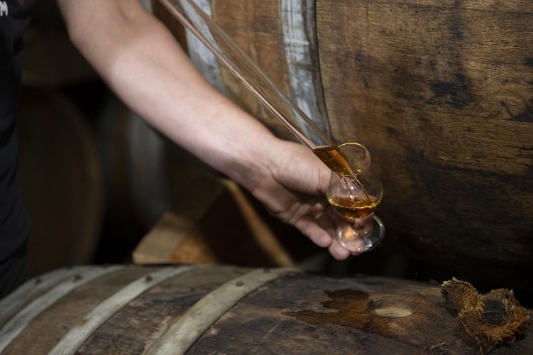 HDM - Les Hauts de Montrouge